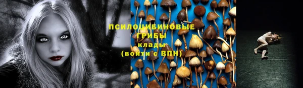 apvp Дмитриев