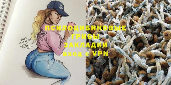 apvp Дмитриев