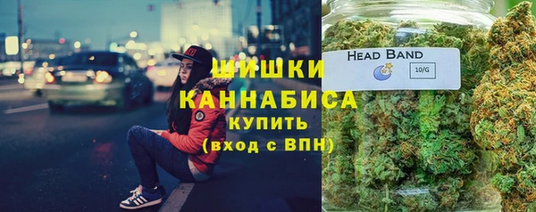 apvp Дмитриев