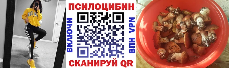 Псилоцибиновые грибы Cubensis  mega ТОР  даркнет состав  Чердынь 